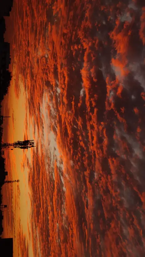 Golden Sunset Nature Wallpaper 4K